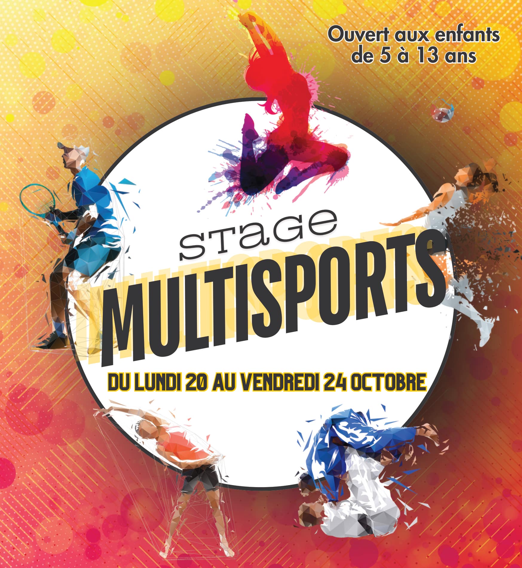 vignette stage multisports
