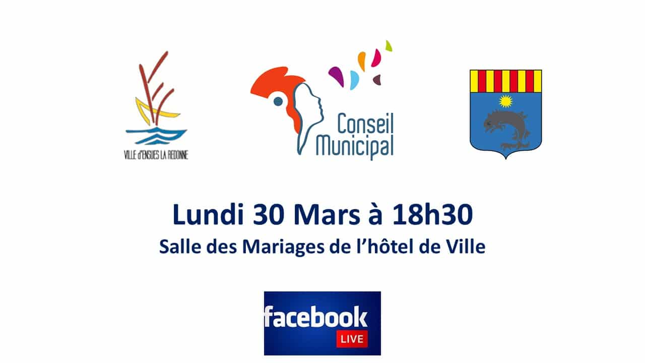 vignettte conseil live