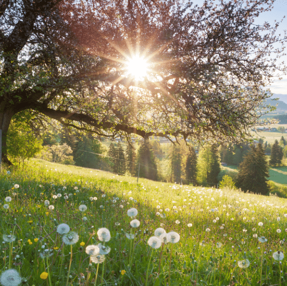 Capture d'écran 2026-04-21 100210