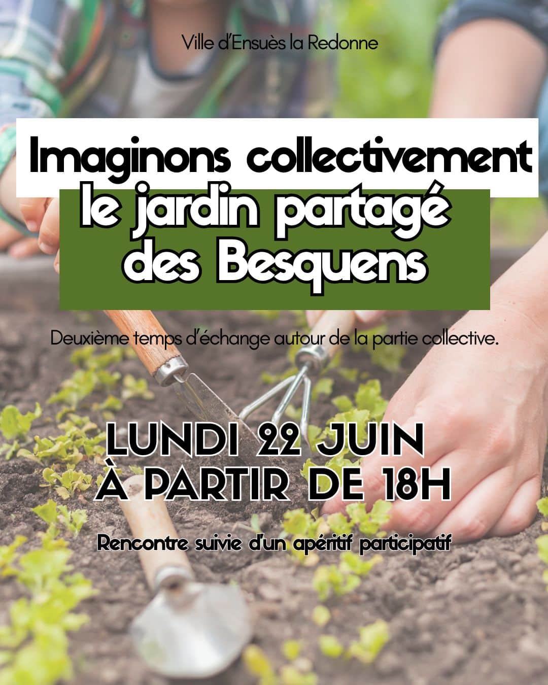 Projet collectif jardin partie 2