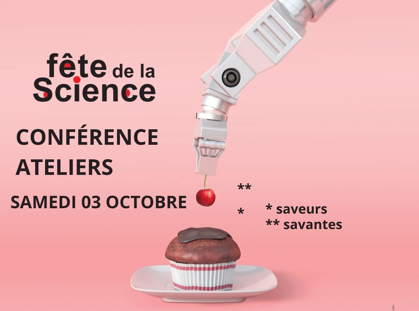 vignette fds